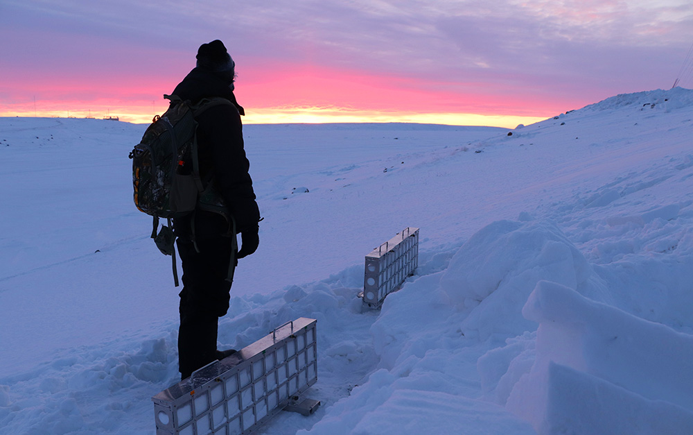 échantillonnage de neige sentinelle nord