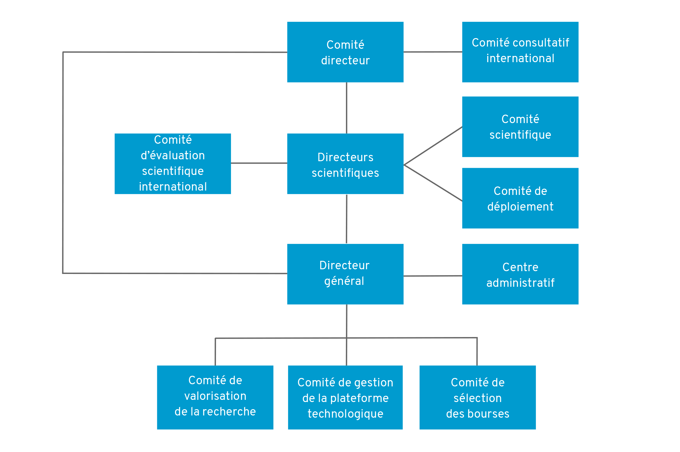 organigramme gouvernance sentinelle nord 2020